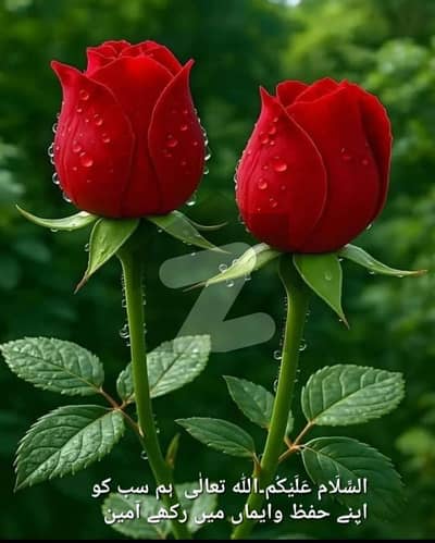 Commercial Plot for sell in Gulberg Greens