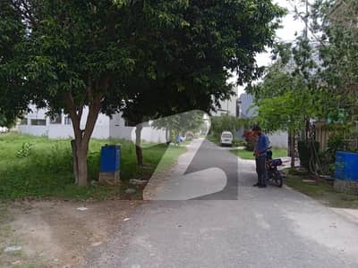 5 Marla Plot near B 772 5 Marla Plot near B 772