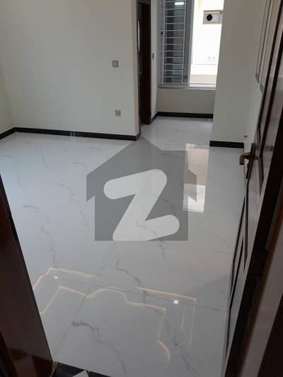 10 Marla Lower Ground (Basment)