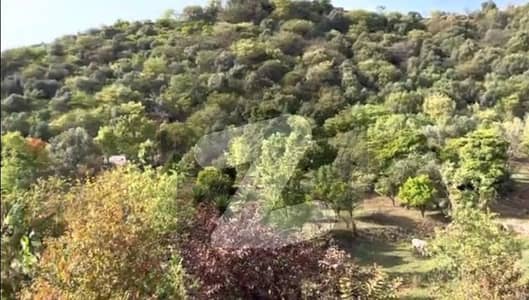 Farmhouse land for sale on Simly Dam Road Farmhouse land for sale on Simly Dam Road