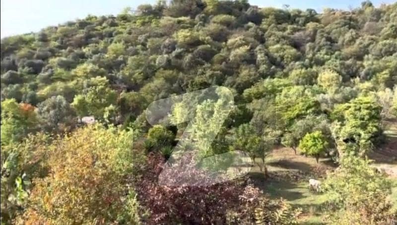 Farmhouse land for sale on Simly Dam Road Farmhouse land for sale on Simly Dam Road