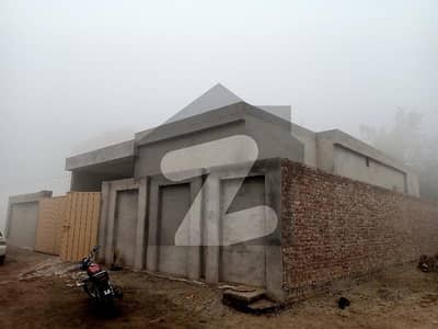 11 Marla House For Rent In Suraj Miani