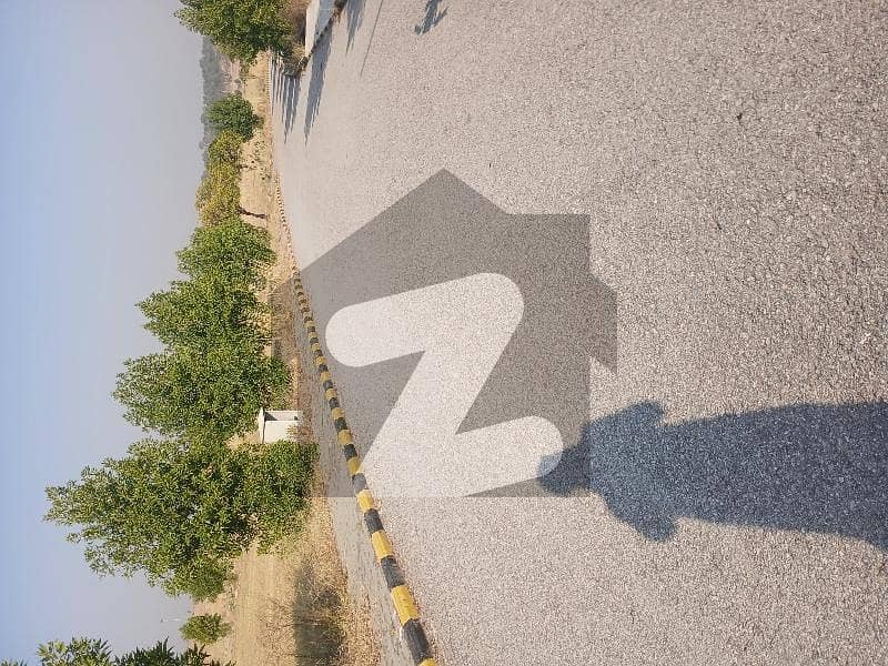 rezanable price rezanable price