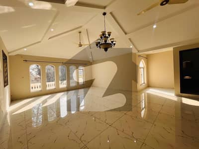 666 SQYD 5 Beds With Lush Garden Beautiful House Available For Rent In F8