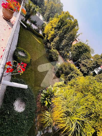 Fully Furnished 2 Beds With Terrace & Garden Upper Portion Available For Rent In F8