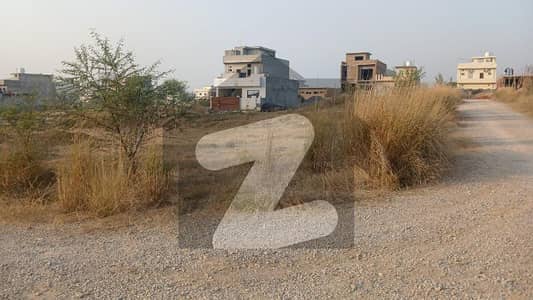 5 Marla Plot For Sale In University Town