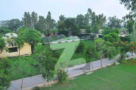 KANAL PLOT AVAILABLE FOR FORM HOUSE ON BEDIAN ROAD