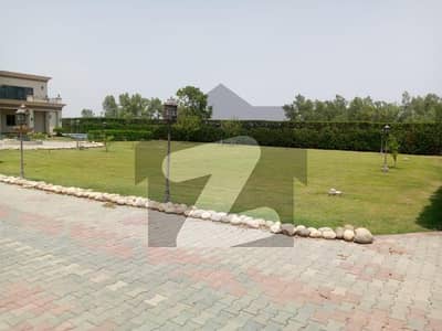 IDEAL PLOT FOR FORM HOUSE GATED CUMMUNITY WELL MIANTAIN