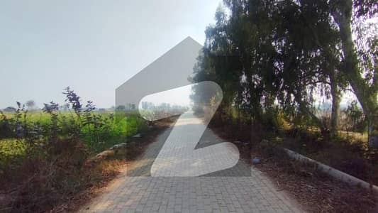 354A PLOT 1 KANAL FOR SALE