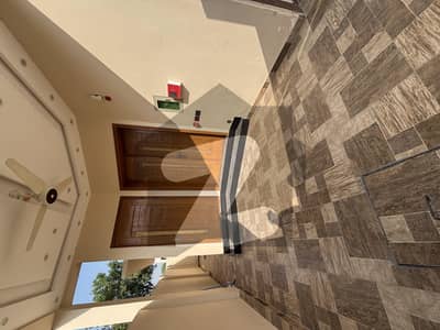 Brand New Lower Portion