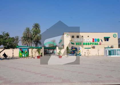 Attractive Location Attractive Location