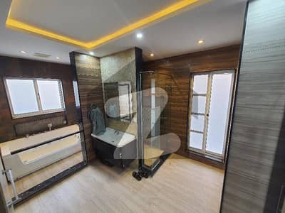 Original Pictures Double Unit House