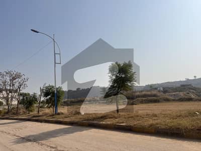 Level and solid plot on prime location of dha 3