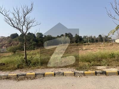 Investor rate plot in prime location of dha 3