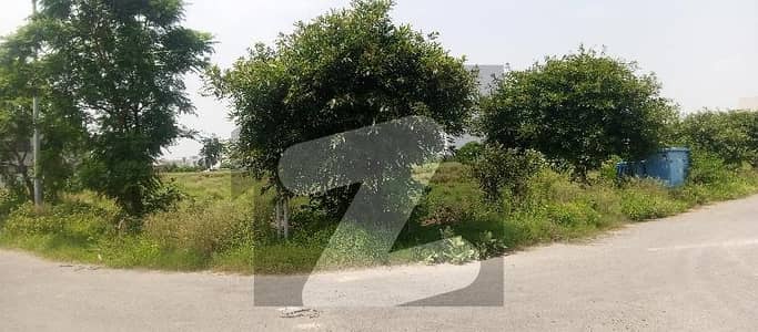 Phase 8 T Block Hot Location Corner Plot For Sale