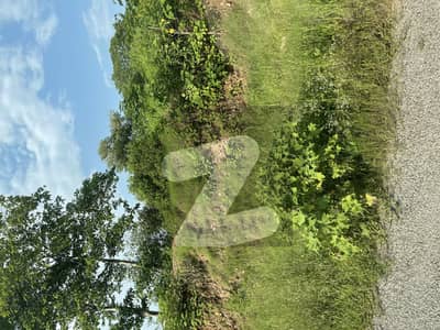 Next to corner close to double road and Park