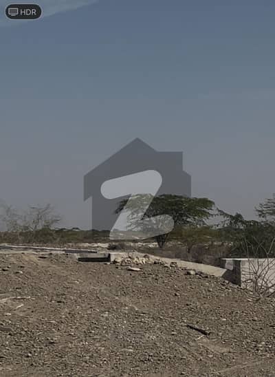 Virgin agricultural land for sale