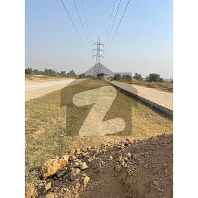 I-12/3 Nust Back Corner Size 25x50 Sun Face