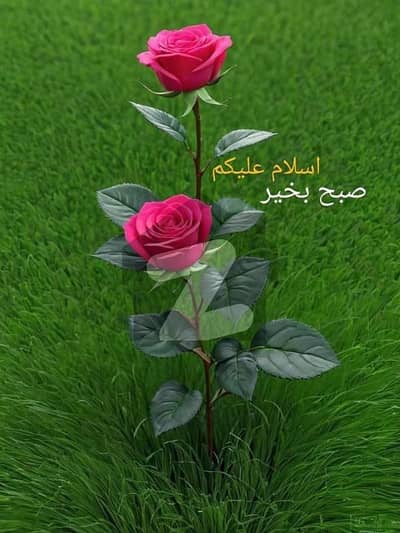 6marla plot of sale defiance road T&T. colney naer askria 14secter c