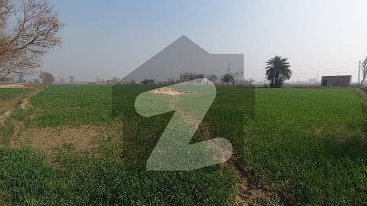100 Kanal Agricultural Land Near Multan Road