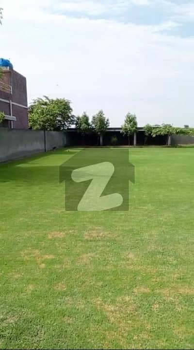 4 kanal farm house gated boundary wall(original pics attached)