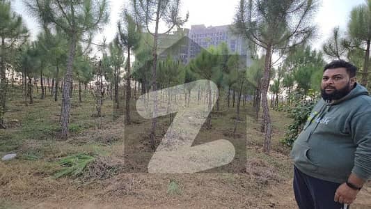 اڈیالہ روڈ راولپنڈی میں 10 مرلہ رہائشی پلاٹ 40.0 لاکھ میں برائے فروخت۔ اڈیالہ روڈ راولپنڈی میں 10 مرلہ رہائشی پلاٹ 40.0 لاکھ میں برائے فروخت۔