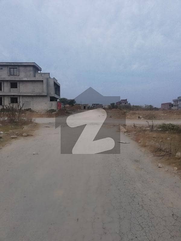 7 Marla Plot for sale 7 Marla Plot for sale