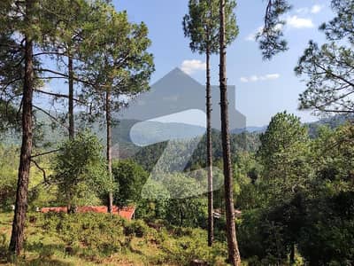 beautiful plot for sale