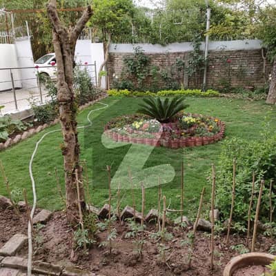 آئی ۔ 14/1 آئی ۔ 14,اسلام آباد میں 7 مرلہ رہائشی پلاٹ 1.25 کروڑ میں برائے فروخت۔ آئی ۔ 14/1 آئی ۔ 14,اسلام آباد میں 7 مرلہ رہائشی پلاٹ 1.25 کروڑ میں برائے فروخت۔