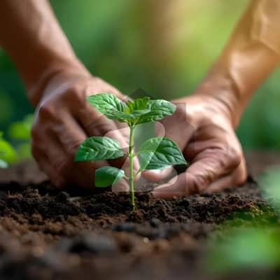 Limited Offer: 3 Marla Plot in Al Kabir Town Phase 2, Block ABUBAKKER