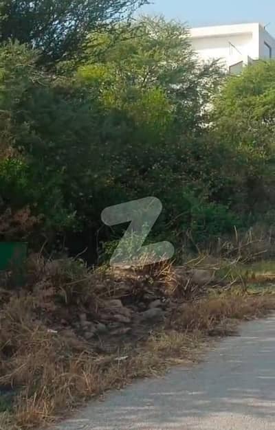 Ideal Location Park Facing 600 Sqyd For Sale In D-12/3 Ideal Location Park Facing 600 Sqyd For Sale In D-12/3