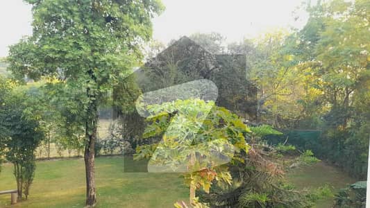 ایف ۔ 7 اسلام آباد میں 5 کمروں کا 1 کنال مکان 7.25 لاکھ میں کرایہ پر دستیاب ہے۔ ایف ۔ 7 اسلام آباد میں 5 کمروں کا 1 کنال مکان 7.25 لاکھ میں کرایہ پر دستیاب ہے۔