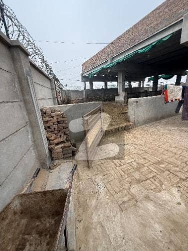 Ameer Alam Colony Dairy Farm House Sized 22 Marla Ameer Alam Colony Dairy Farm House Sized 22 Marla