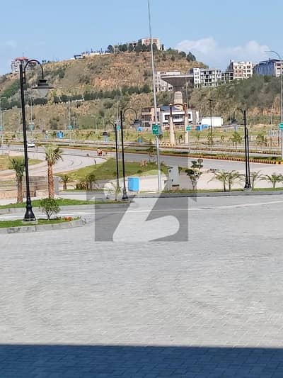 Possession Able Plot Reasonable Price  Best Opportunity For Investment & House Build Level & Solid Land