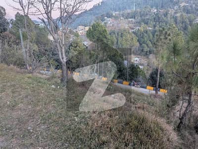 Residential Land for Sale -