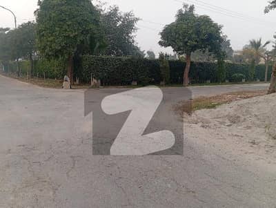 Affordable Residential Plot Available For Sale In Bedian Road
