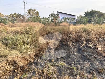 Backopen Solid Land Near Dolphin Chowk