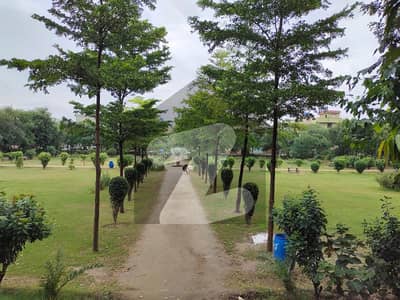 5.5 merla portion gurond flour For Rent Shahdab garden Near pak Arab Society ferozepur raod Lahore Near parak masjid markeit matro