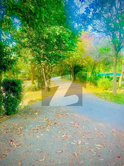 بیدیاں روڈ لاہور میں 1 کنال رہائشی پلاٹ 65.0 لاکھ میں برائے فروخت۔