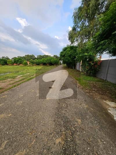 4 Kanal Farmhouse Land For Sale In Bedian Road