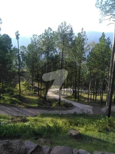 اسلام آباد - مری ایکسپریس وے اسلام آباد میں 5 مرلہ رہائشی پلاٹ 47.5 لاکھ میں برائے فروخت۔