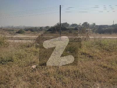 10 MARLA PLOT FOR SALE IN D 12 /2