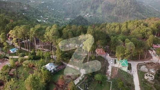 اسلام آباد - مری ایکسپریس وے اسلام آباد میں 1 کنال رہائشی پلاٹ 59.0 لاکھ میں برائے فروخت۔