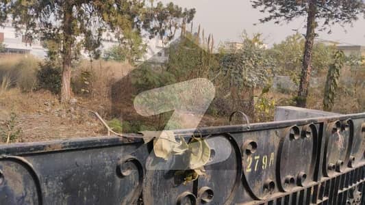 westridge Main pasawer Road plot For sale