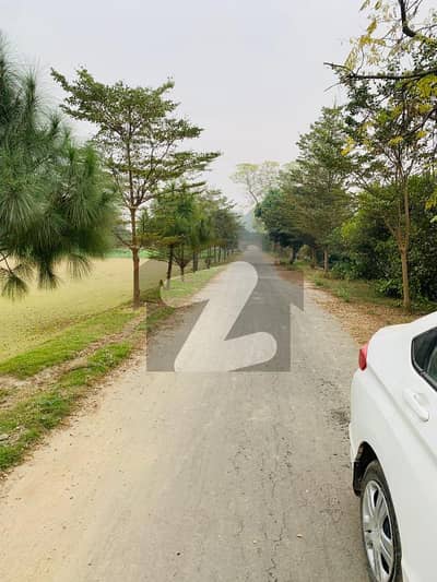 Luxury Farmhouse Residential Plots for Sale Bedian Road, Lahore (2, 4, 8 & 16 Kanal)