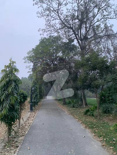 بیدیاں روڈ لاہور میں 14 کنال رہائشی پلاٹ 11.8 کروڑ میں برائے فروخت۔