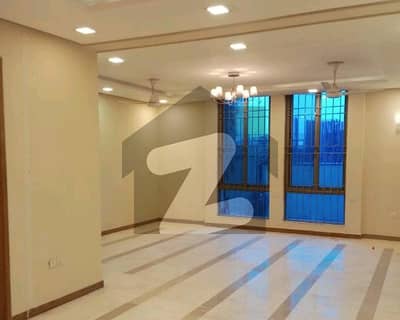 Aesthetic House Of 14 Marla For rent Is Available