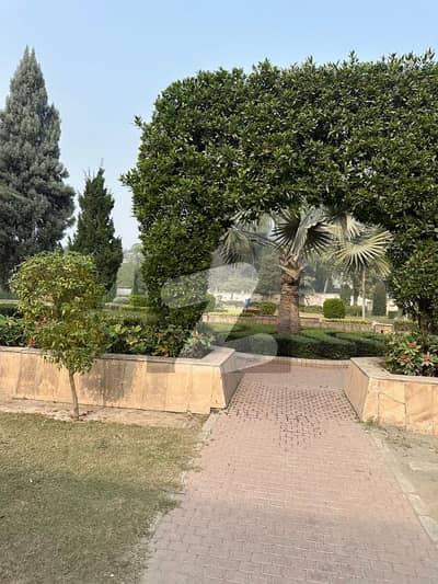 6 MARLA BRAND NEW WITH GASS GROUND FLOOR AVAILABLE FOR RENT