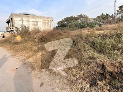 Backopen solid land plus near to dolphin chowk