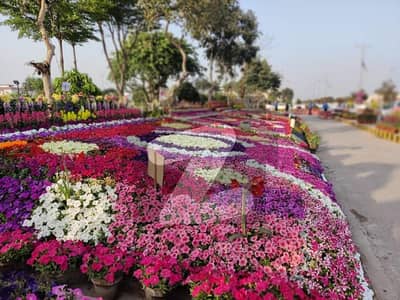 سرور روڈ کینٹ,لاہور میں 8 کمروں کا 3 کنال مکان 26.0 کروڑ میں برائے فروخت۔